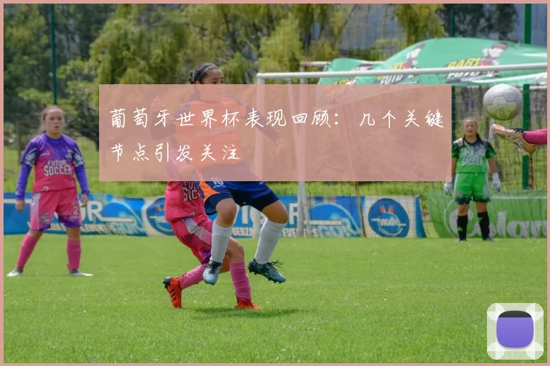 葡萄牙世界杯表现回顾:几个关键节点引发关注