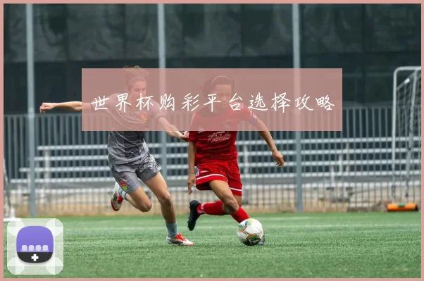 世界杯购彩平台选择攻略