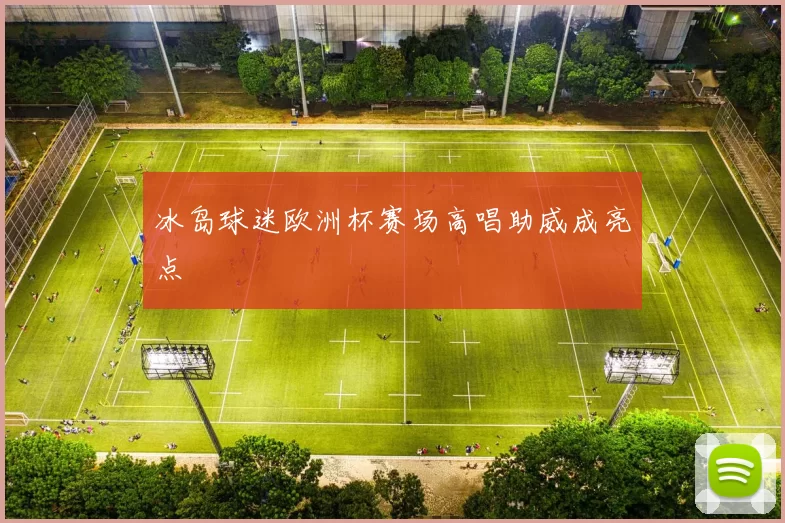 冰岛球迷欧洲杯赛场高唱助威成亮点