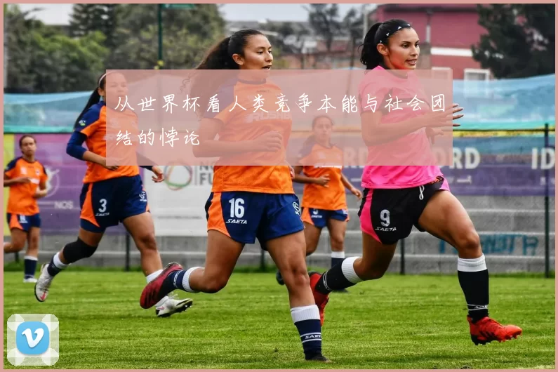 从世界杯看人类竞争本能与社会团结的悖论