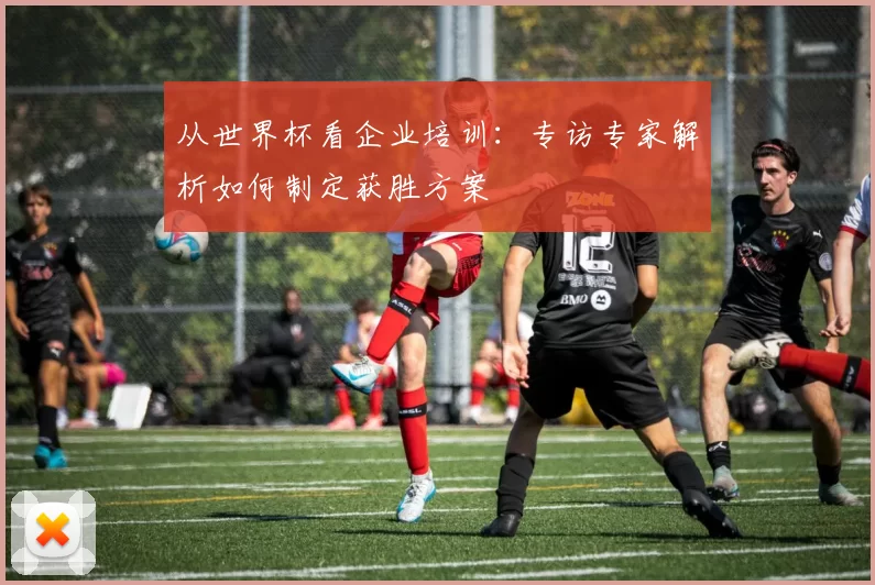 从世界杯看企业培训：专访专家解析如何制定获胜方案