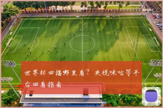 世界杯回播哪里看?央视咪咕等平台回看指南